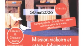 Atelier de fabrication de nichoirs !